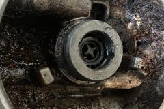 IMG-20231124-WA0031